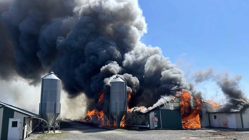Descubre el Mysterio de la Carretera del Pollo en España Online Official