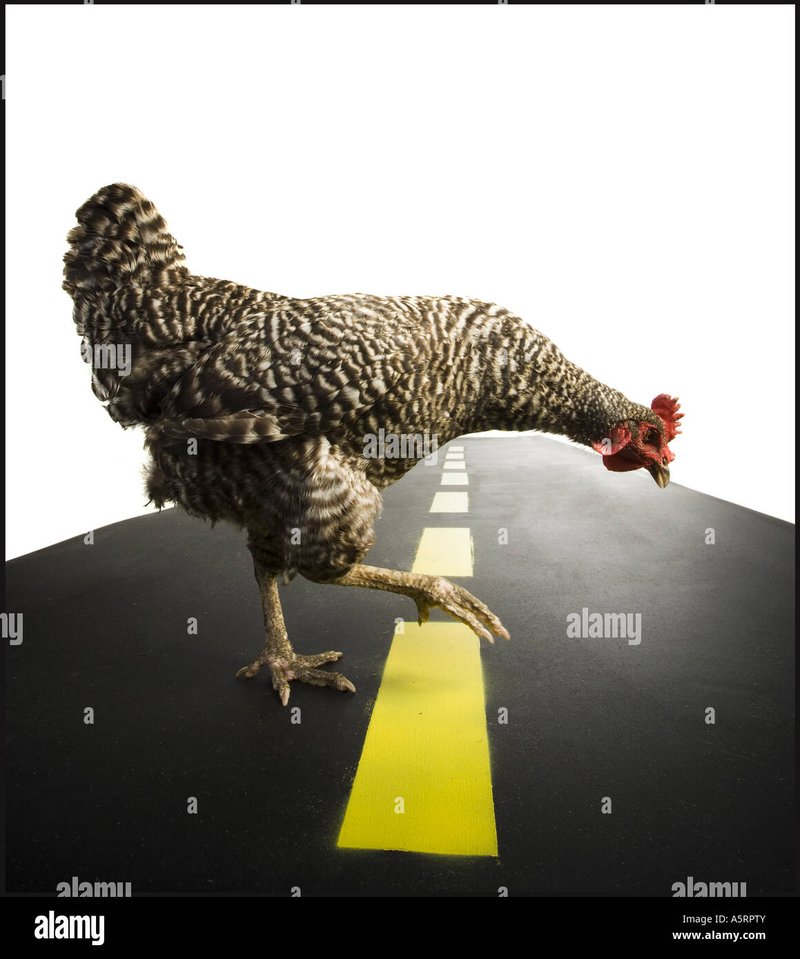 Découvrez le Road des Poulets : Le Jeu de Casino en Fleur en France